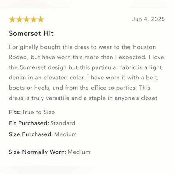 NWT Size XL - The Somerset 100% Cotton Mini Dress: Denim Edition (NWT US$ 138) - Picture 6 of 16